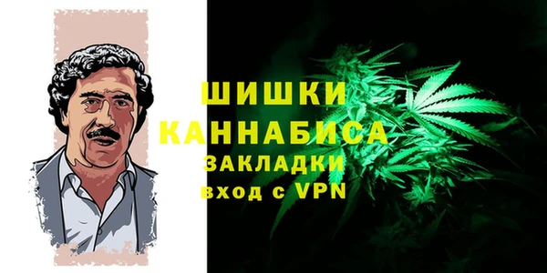 амф Бронницы