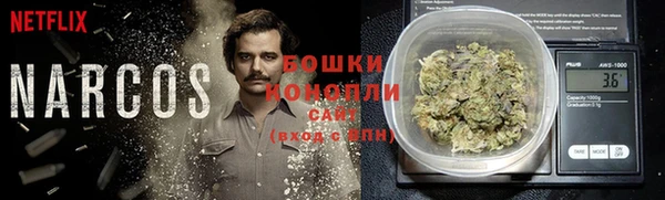 амф Бронницы