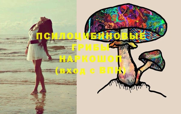 амф Бронницы