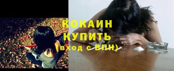 амф Бронницы