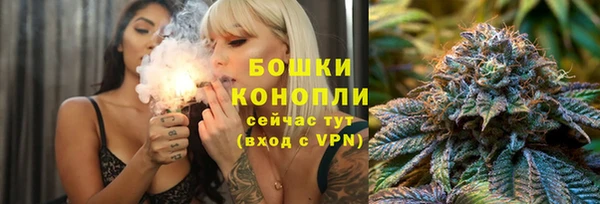 амф Бронницы